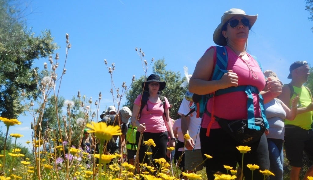 8ª edição  da Caminhada a Fátima by CLAC.